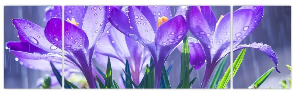 Obraz kwiatów w deszczu (170x50 cm)