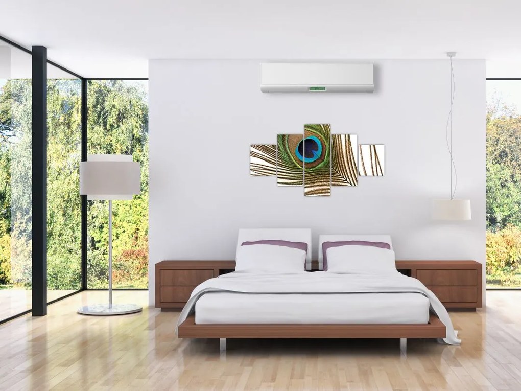 Obraz pawich piór (125x70 cm)