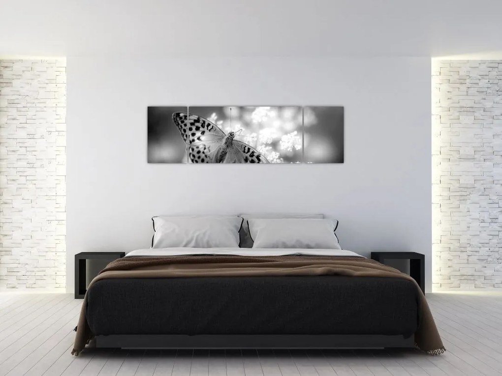 Obraz - Szczegół motyla zapylającego kwiat (170x50 cm)