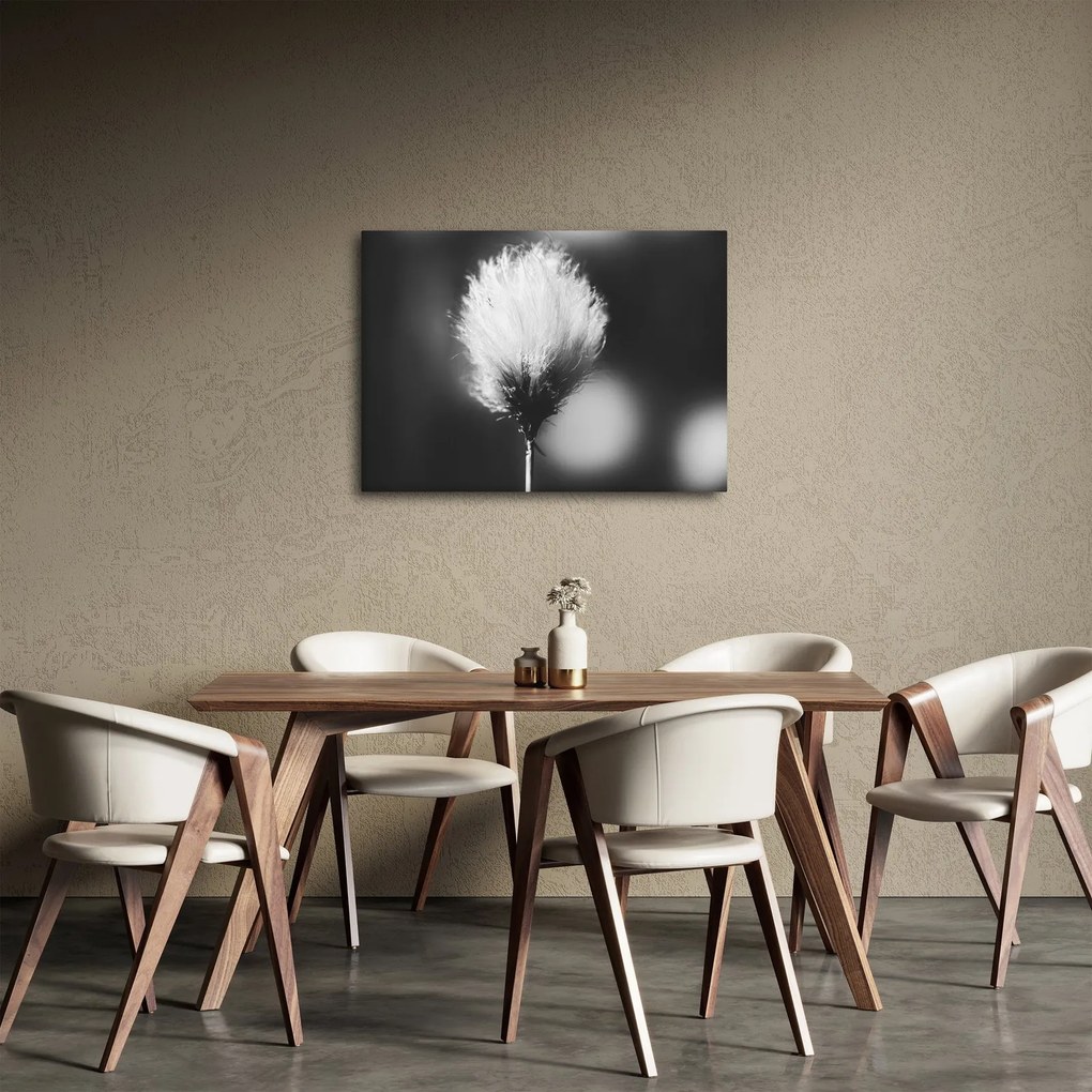 Obraz - Czarno-biała trawa bawełniana (70x50 cm)