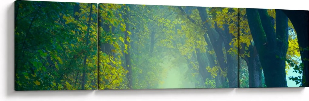 Obraz drogi wysadzanej drzewami (170x50 cm)