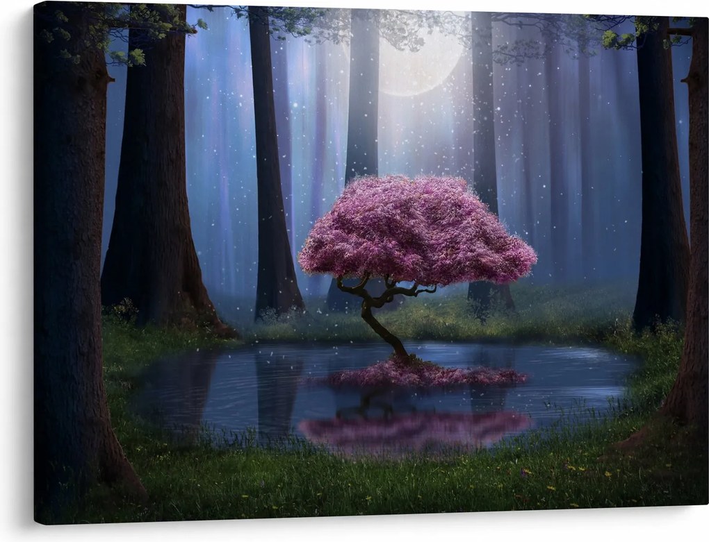 Obraz - Magiczna noc (70x50 cm)