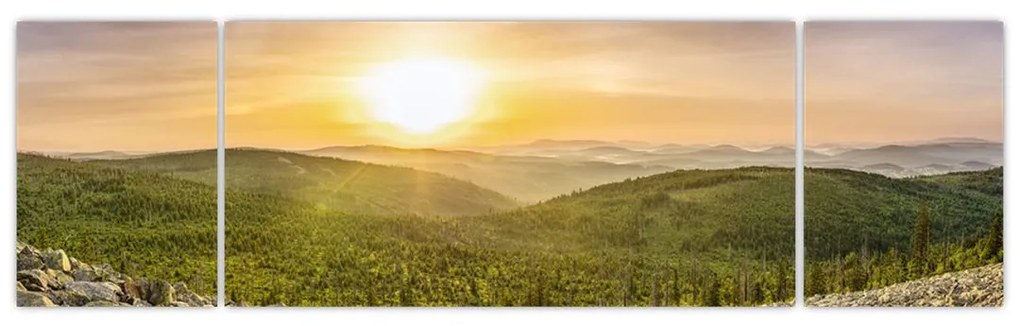 Obraz panoramiczny (170x50 cm)
