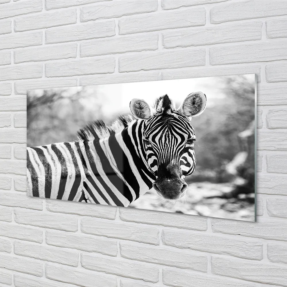 Panel szklany do Kuchni Zebra w Stylu Retro