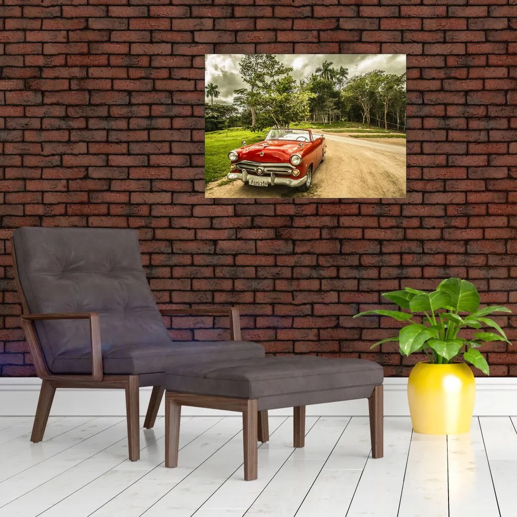 Obraz - zabytkowy samochód w przyrodzie (70x50 cm)
