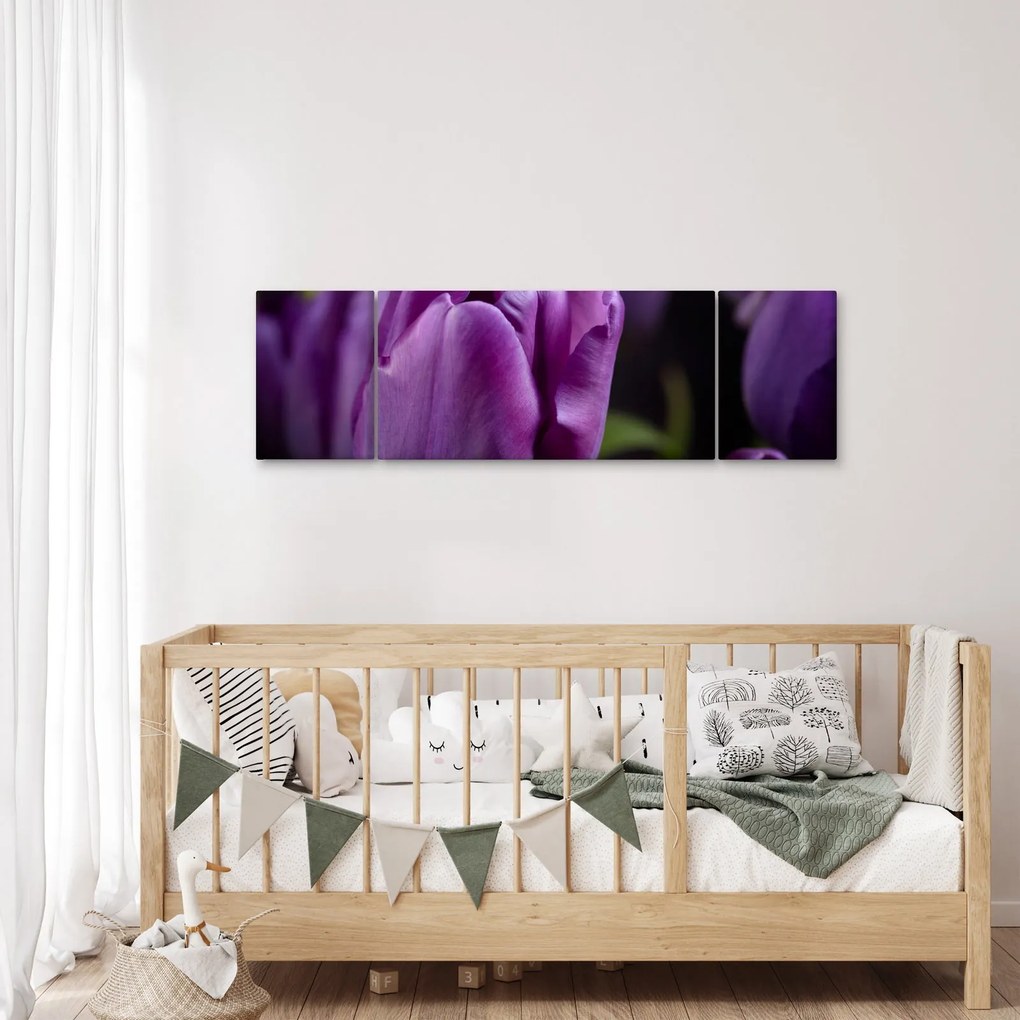Obraz kwiatów tulipanów (170x50 cm)