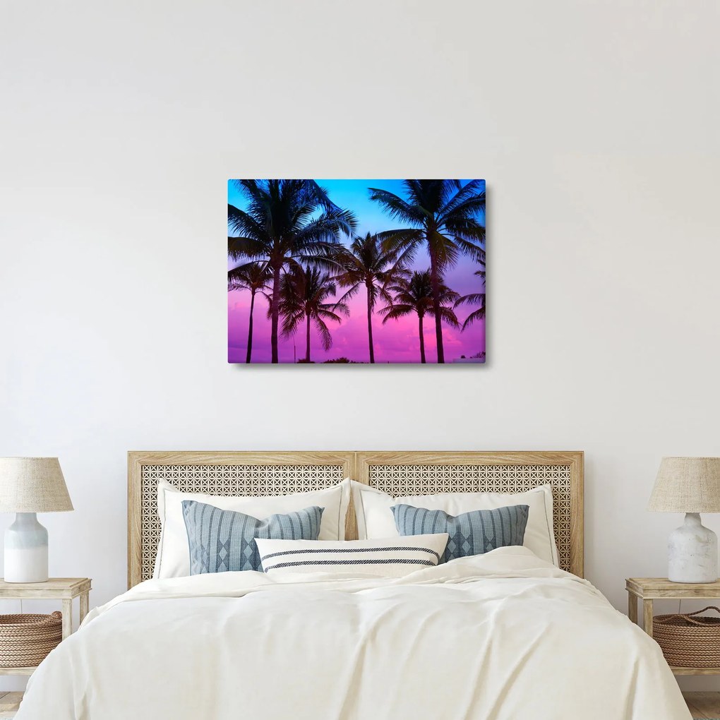 Obraz - Palmy w Miami (70x50 cm)