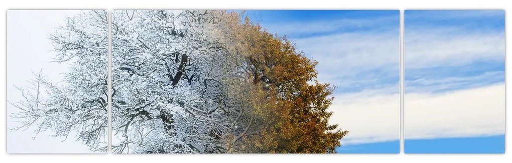 Obraz - Zmiana pór roku (170x50 cm)