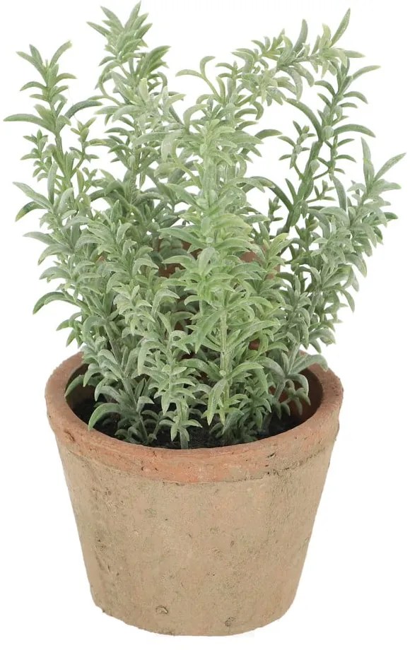 Sztuczna roślina (wysokość 21,5 cm) Thyme – Esschert Design