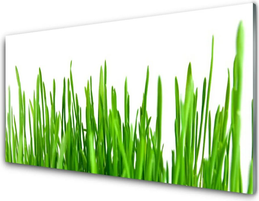 Panel Kuchenny Polna Trawa O Złotej Godzinie