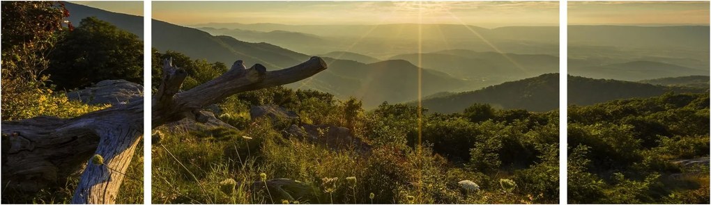 Obraz - Widok na otoczenie (170x50 cm)