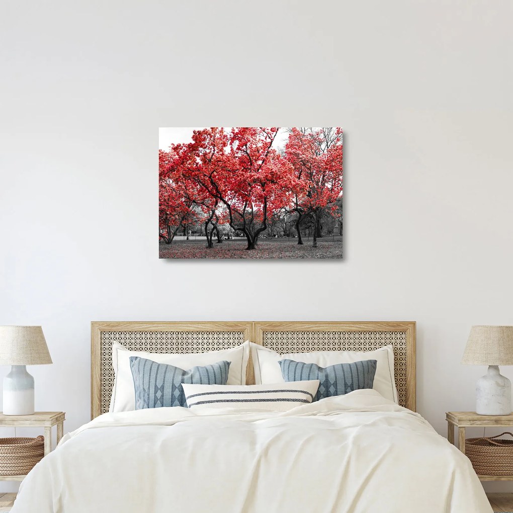Obraz na szkle - Czerwone drzewa, Central Park, New York (70x50 cm)