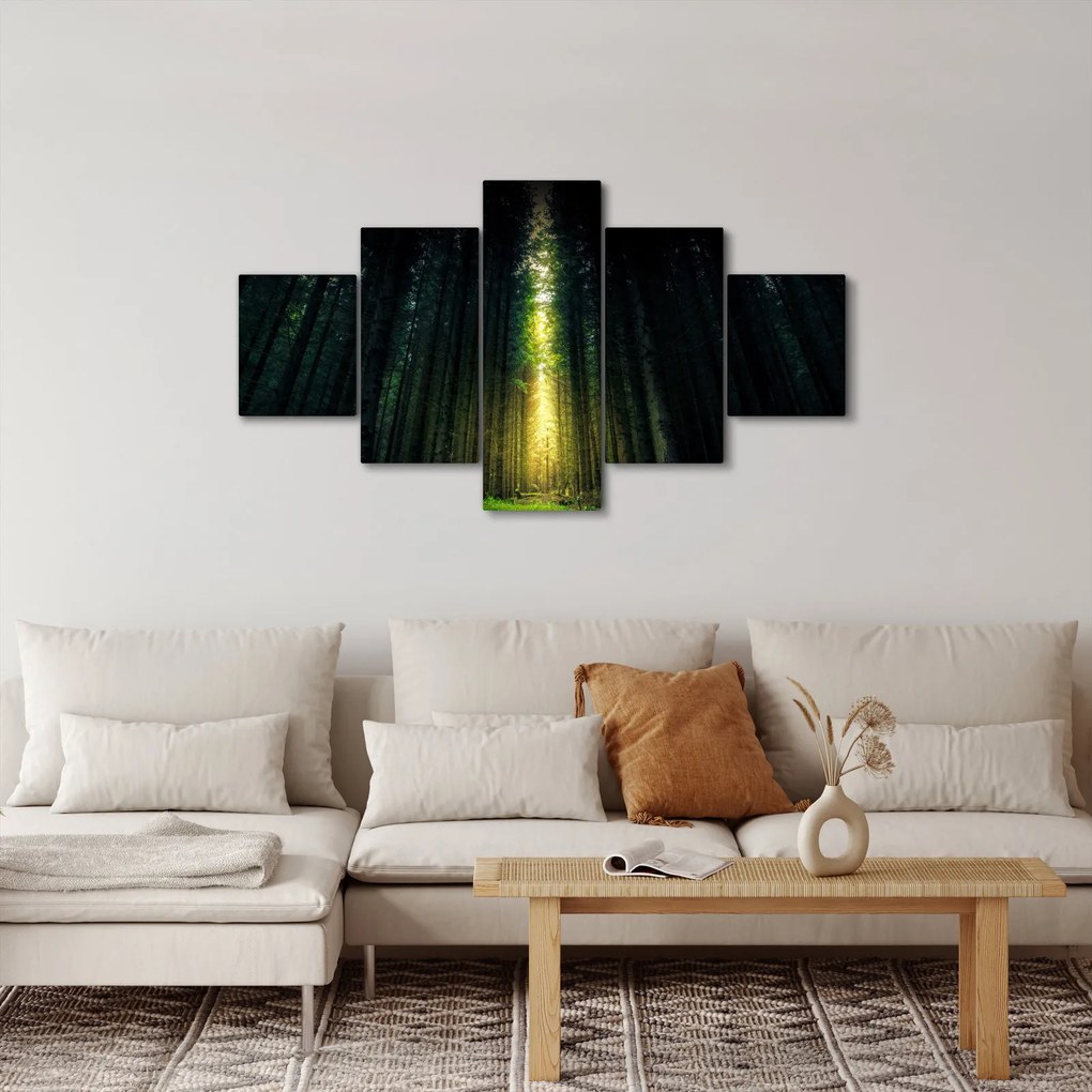 Obraz ciemnego lasu (125x70 cm)