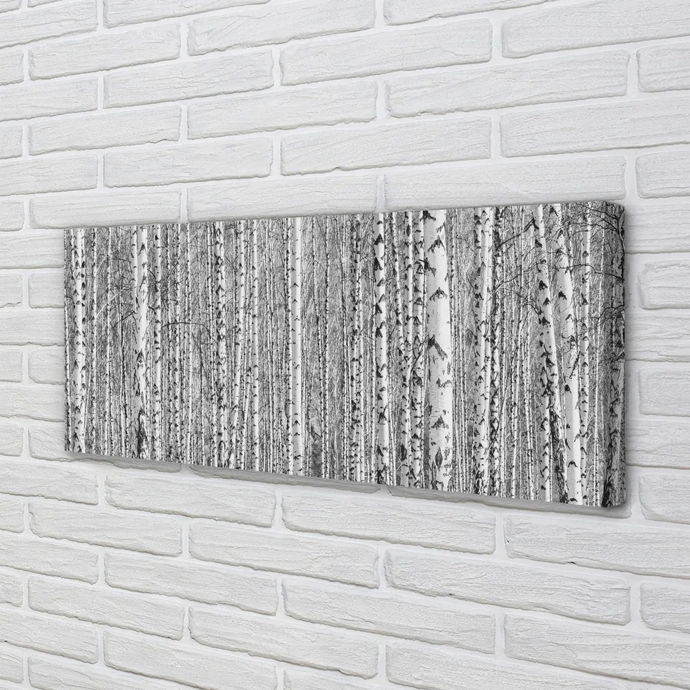 Obraz na płótnie Czarno-Biały Las