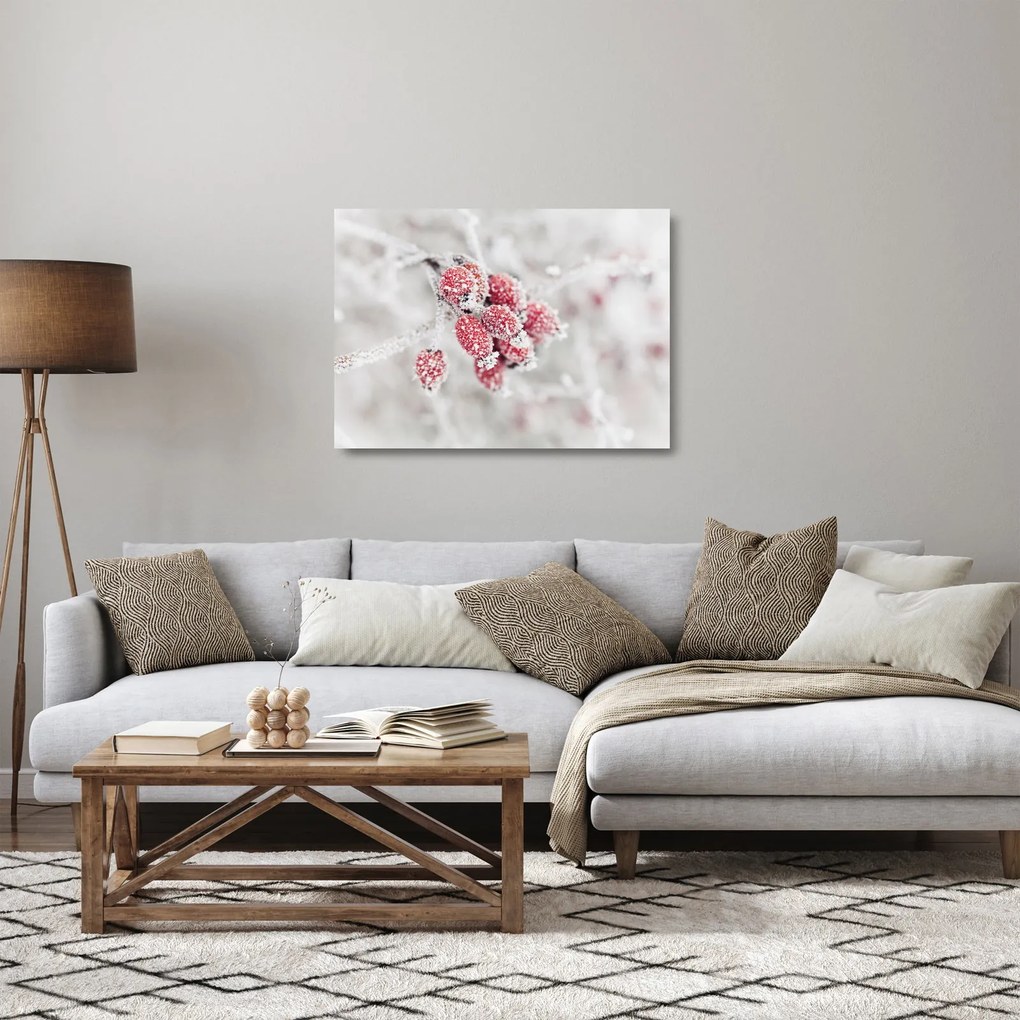 Obraz na szkle - Mrożone owoce (70x50 cm)