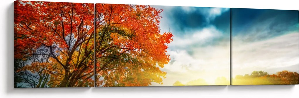 Obraz skąpanego w słońcu krajobrazu (170x50 cm)