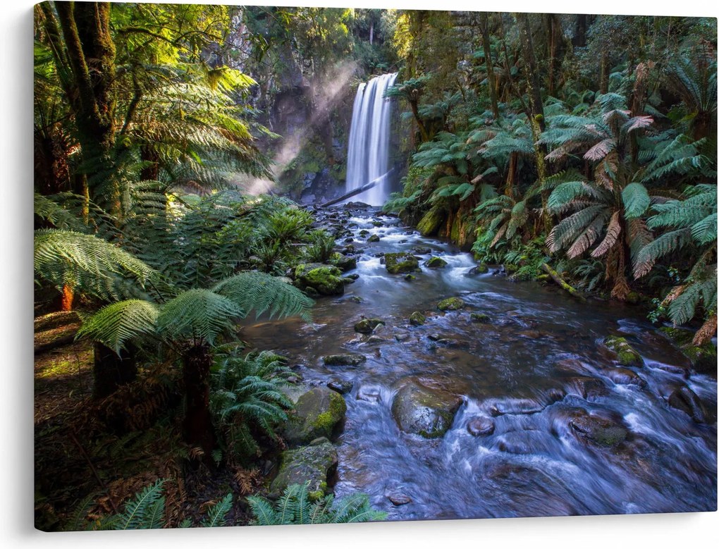 Obraz australijskiego lasu deszczowego (70x50 cm)