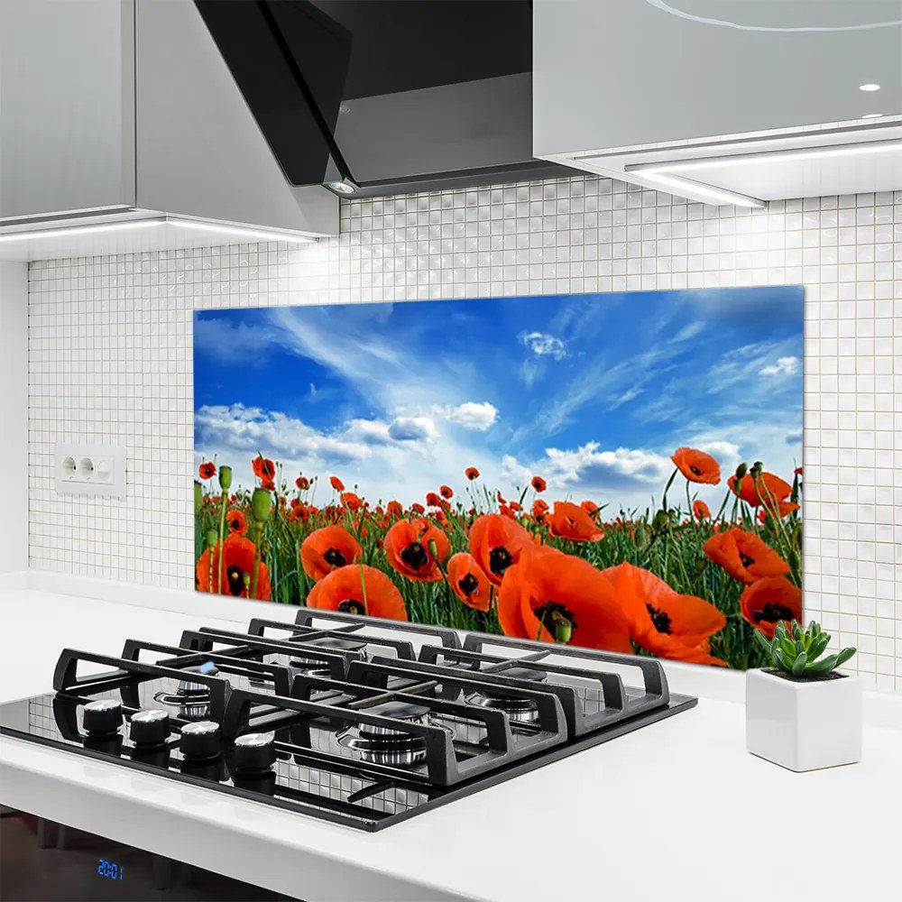 Panel Szklany Czerwone Maki w Blasku Słońca