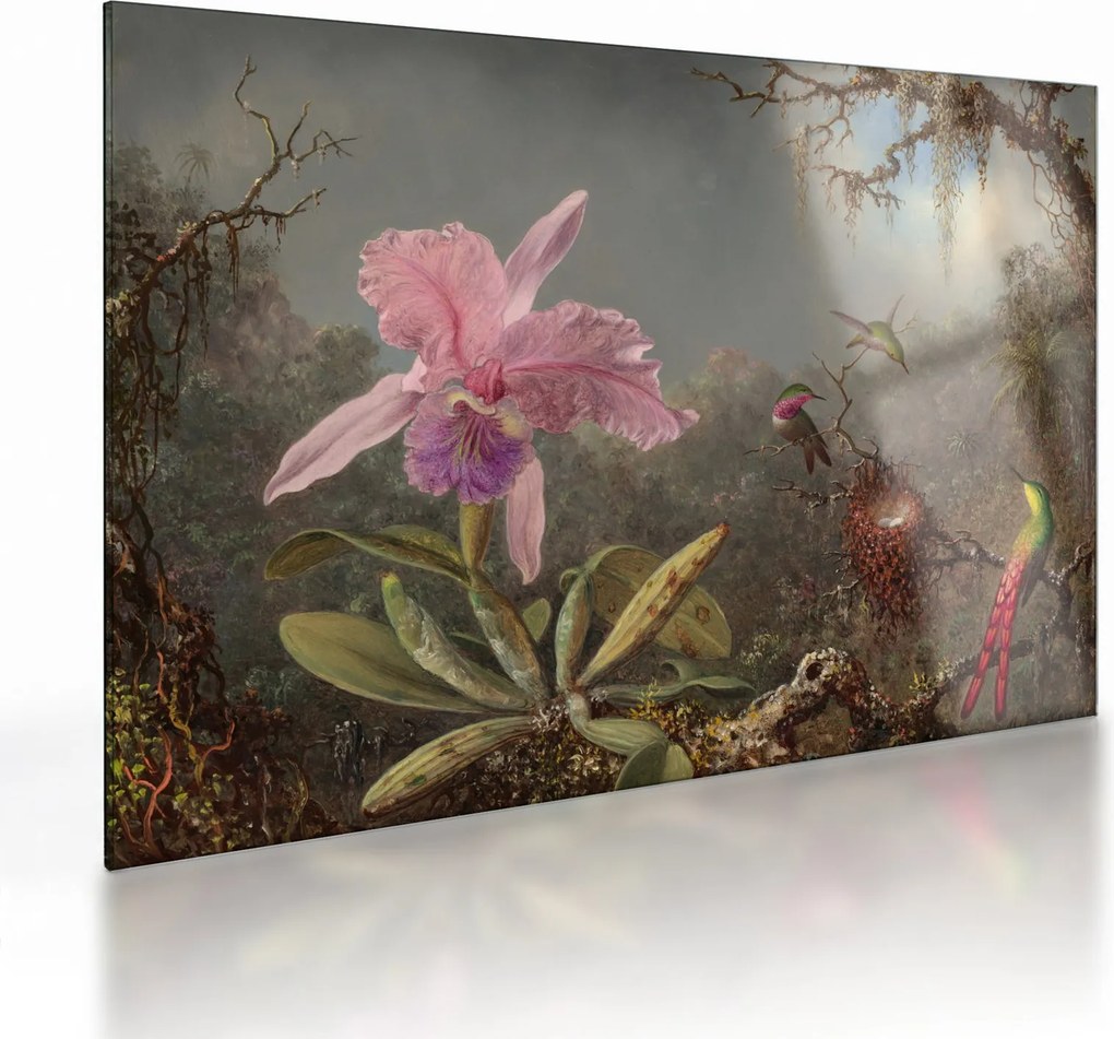 Obraz na szkle - Martin Johnson Heade, Cattleya Orchid and Three Hummingbirds, reprodukcje (70x50 cm)