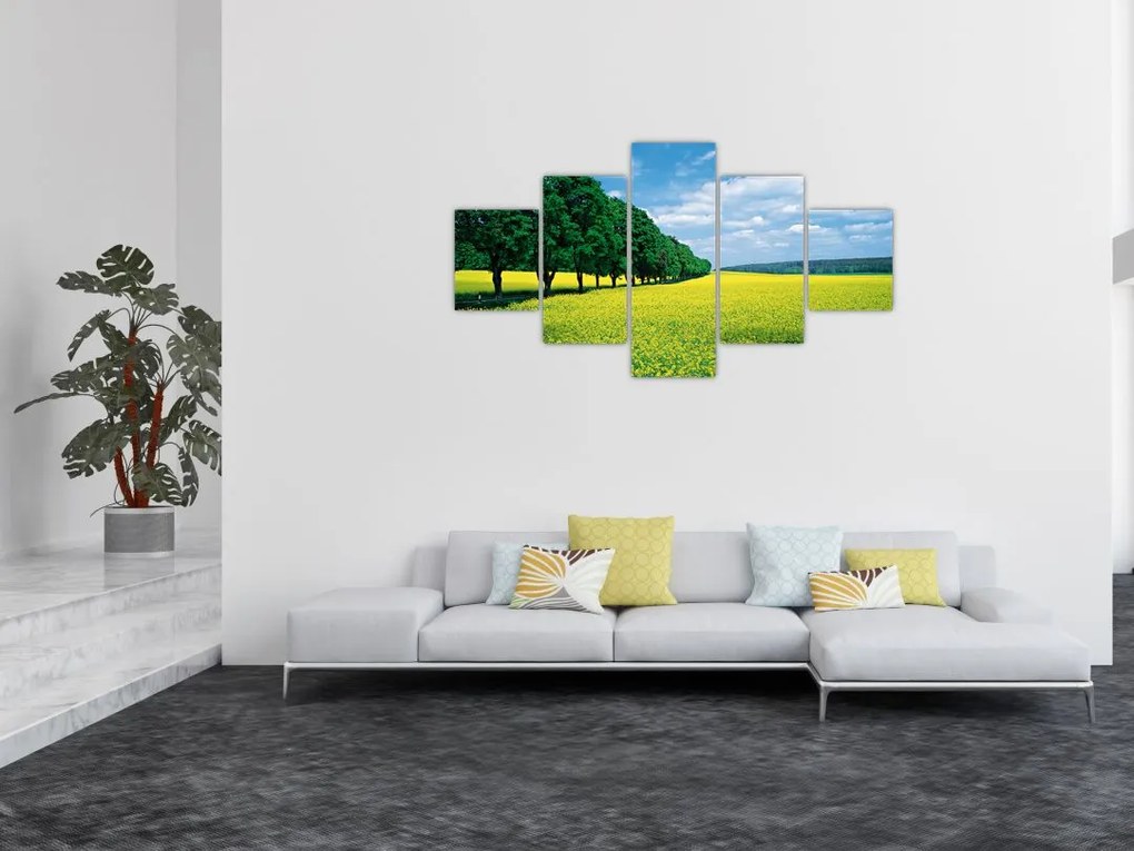 Obraz pola z aleją (125x70 cm)