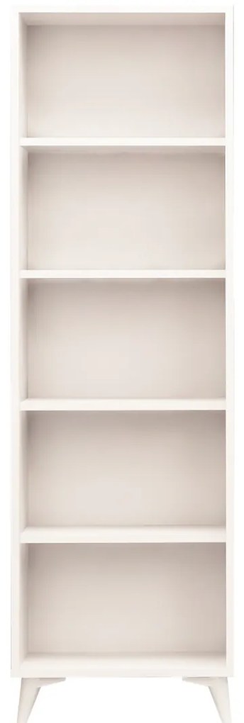 Biblioteczka Potena