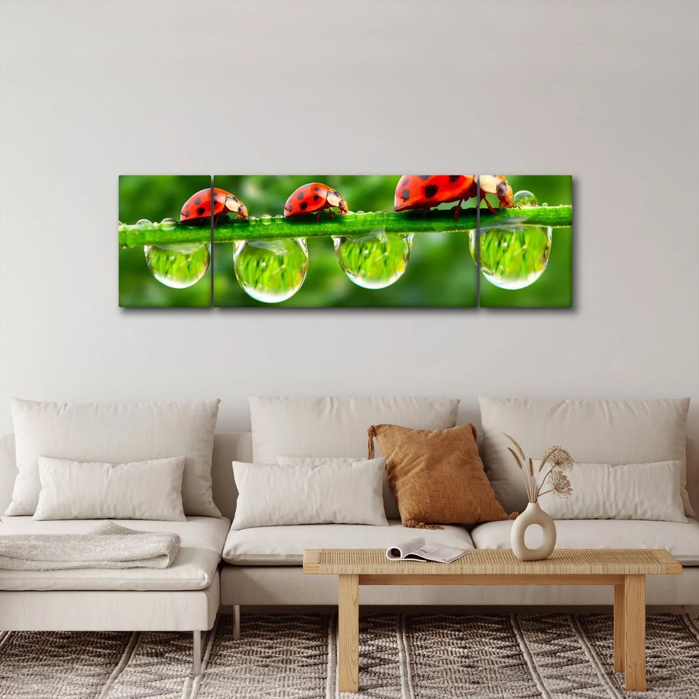 Obraz - Sunshine of the Seven Suns (170x50 cm)