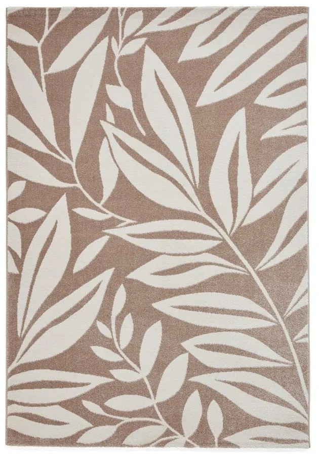 Jasnobrązowy dywan 80x150 cm Sorral Leaves – Catherine Lansfield