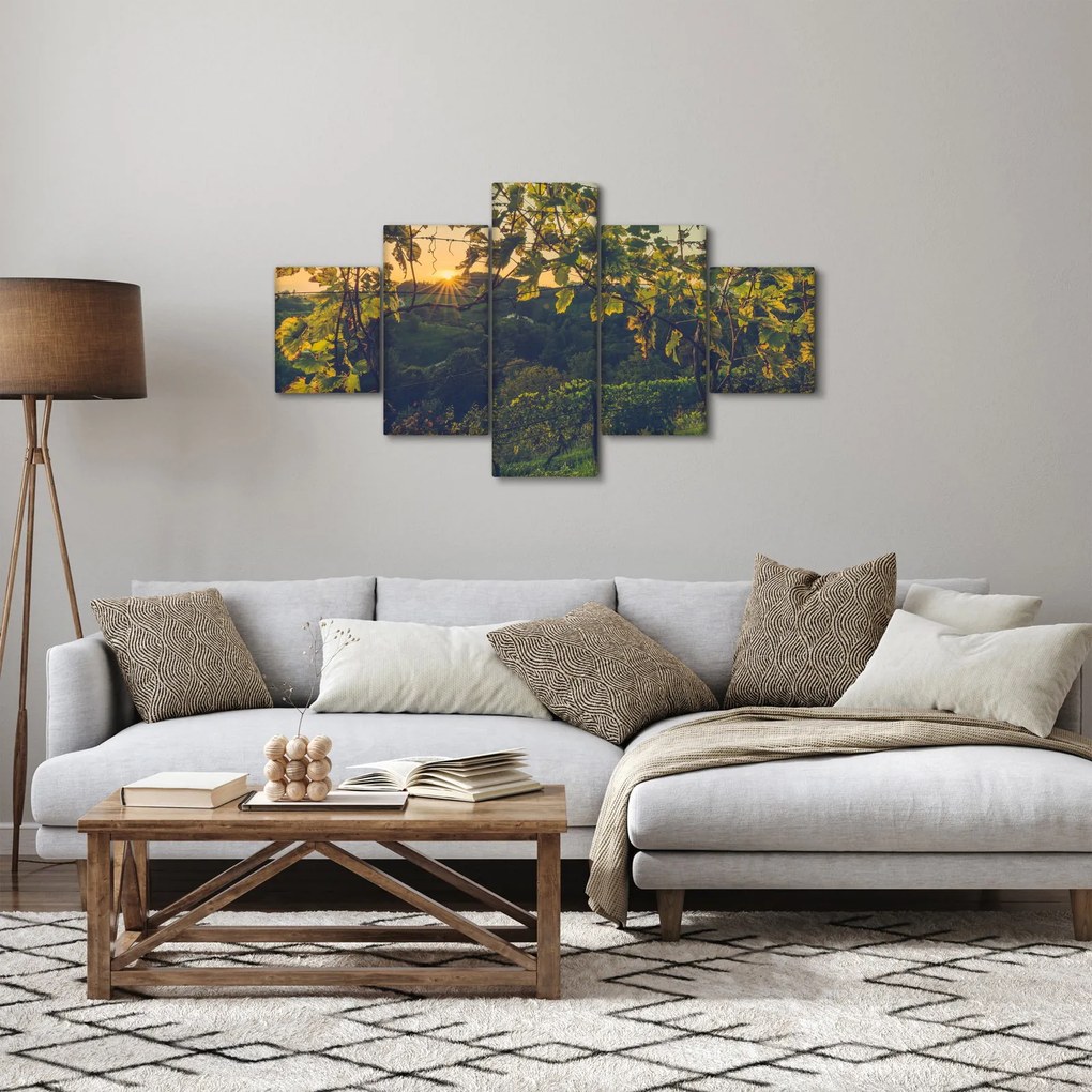 Obraz - Winnica (125x70 cm)