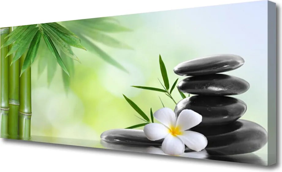 Obraz drukowany na płótnie Egzotyka Bambusa i Kwiatów