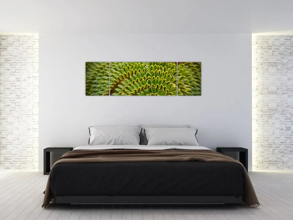 Obraz - Paproć (170x50 cm)