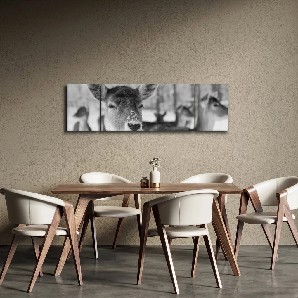 Obraz - Jelonki, czarno - biały (170x50 cm)