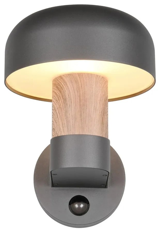 Zewnętrzna lampa ścienna (wysokość 24,5 cm) Fraser – Trio