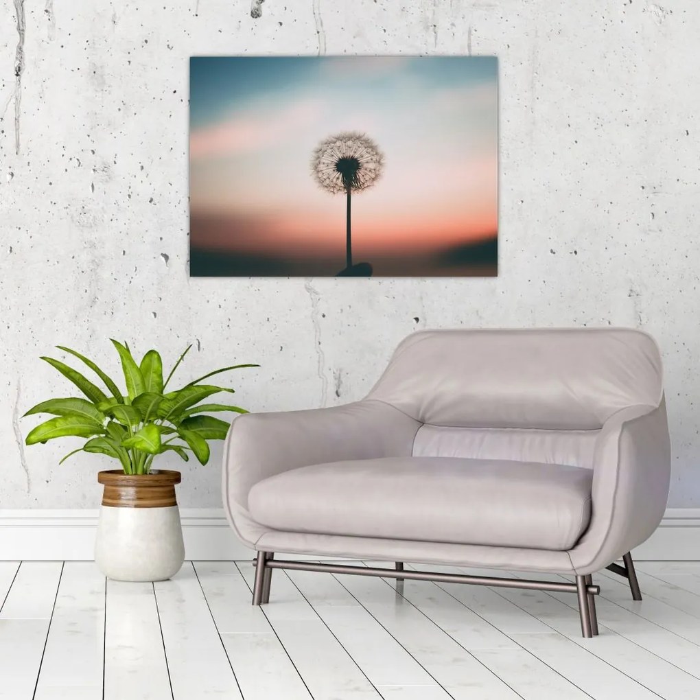 Obraz na szkle - Trzymam cię, dmuchawcu (70x50 cm)
