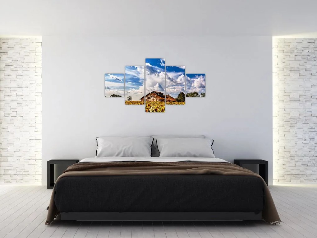 Obraz pola słoneczników (125x70 cm)