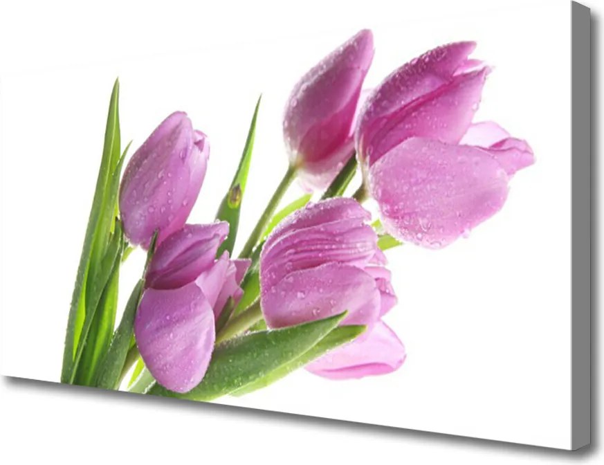 Obraz canvas Pastelowe Tulipany w Ogrodzie