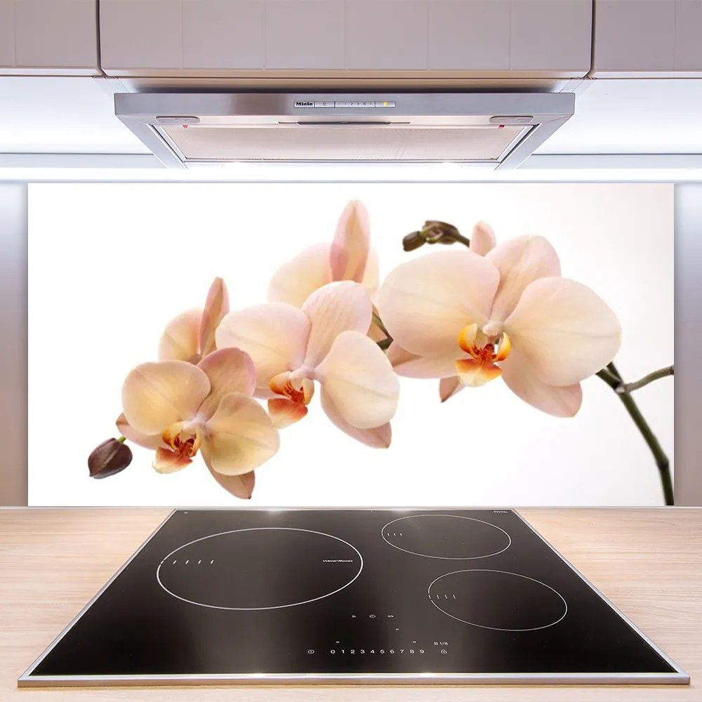 Panel Kuchenny Botaniczna Elegancja Kwiatów