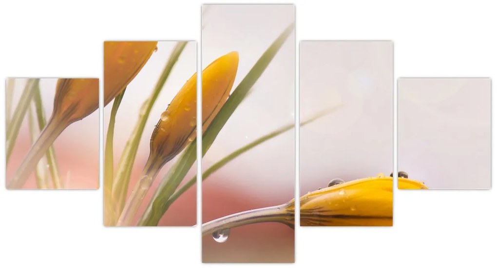 Obraz - Wiosenne kwiaty (125x70 cm)