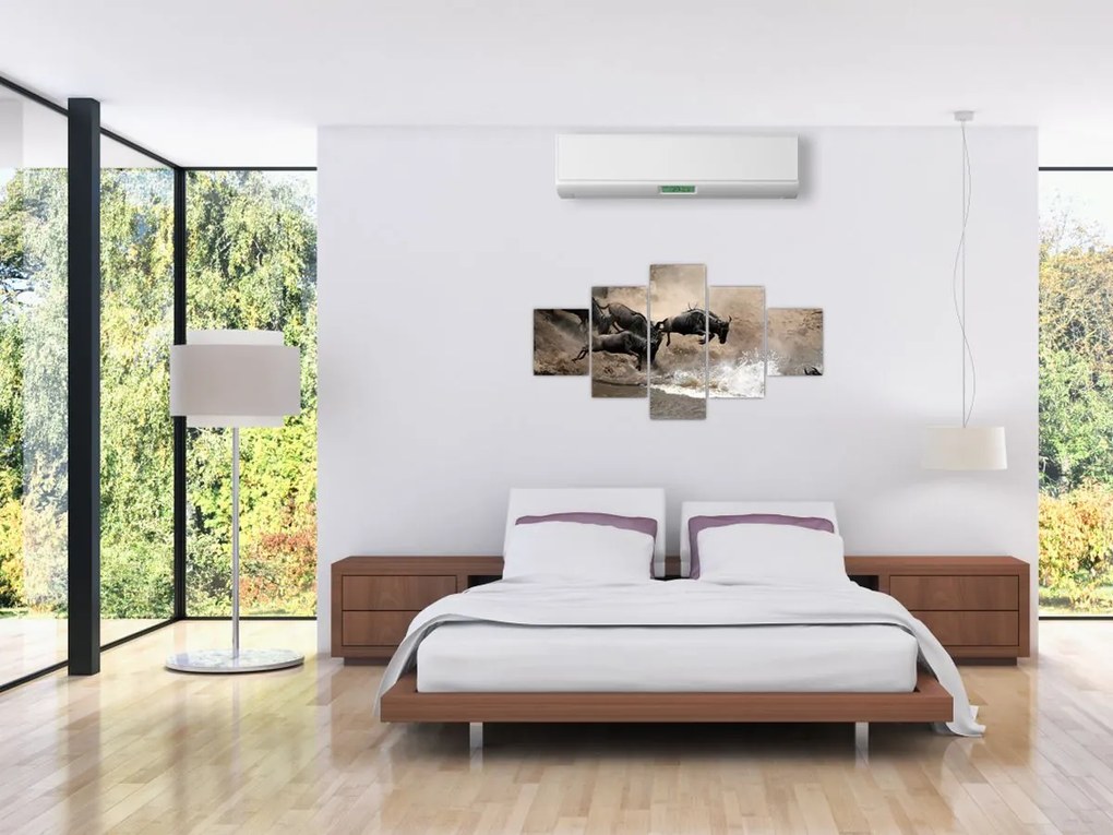 Obraz - Stado antylop gnu (125x70 cm)