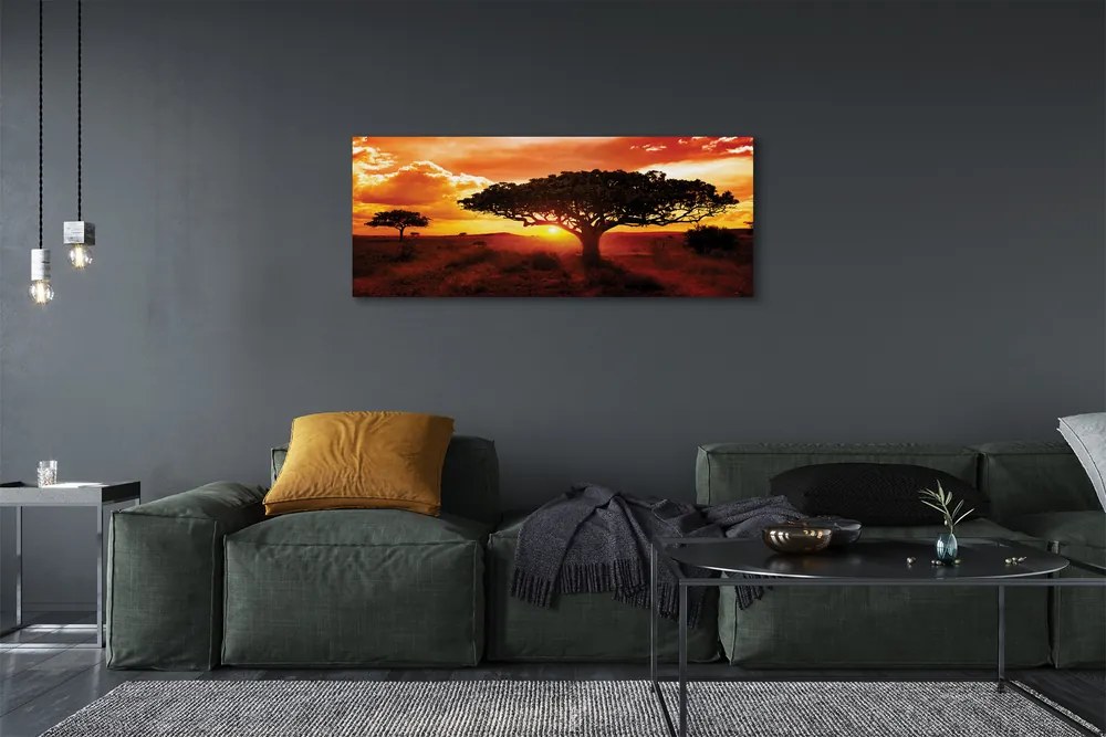 Obraz na płótnie Drzewa i Chmury o Zachodzie