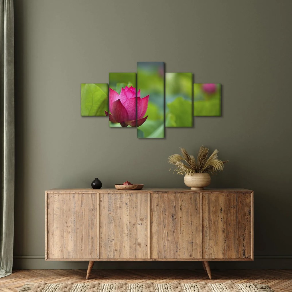 Obraz - roślina wodna (125x70 cm)