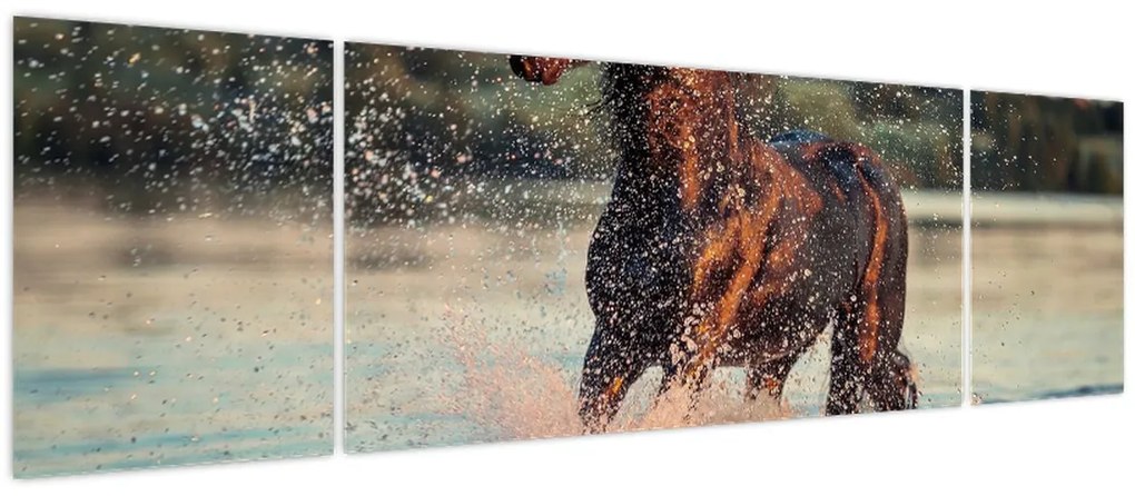 Obraz - Biegnący koń (170x50 cm)