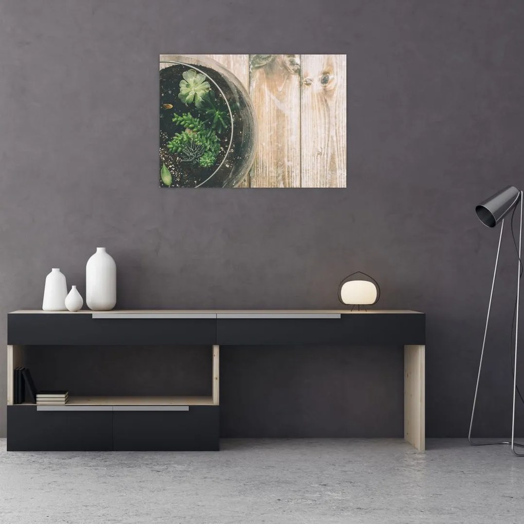 Obraz na szkle sukulentów w szkle (70x50 cm)