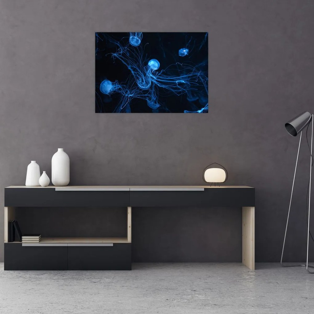 Obraz na szkle - Meduza (70x50 cm)