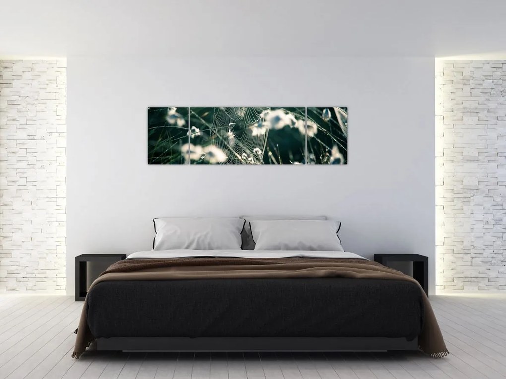 Obraz - Pajęczyna (170x50 cm)