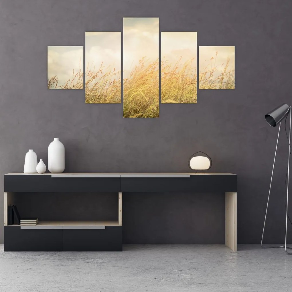 Obraz - Pole jesienią (125x70 cm)