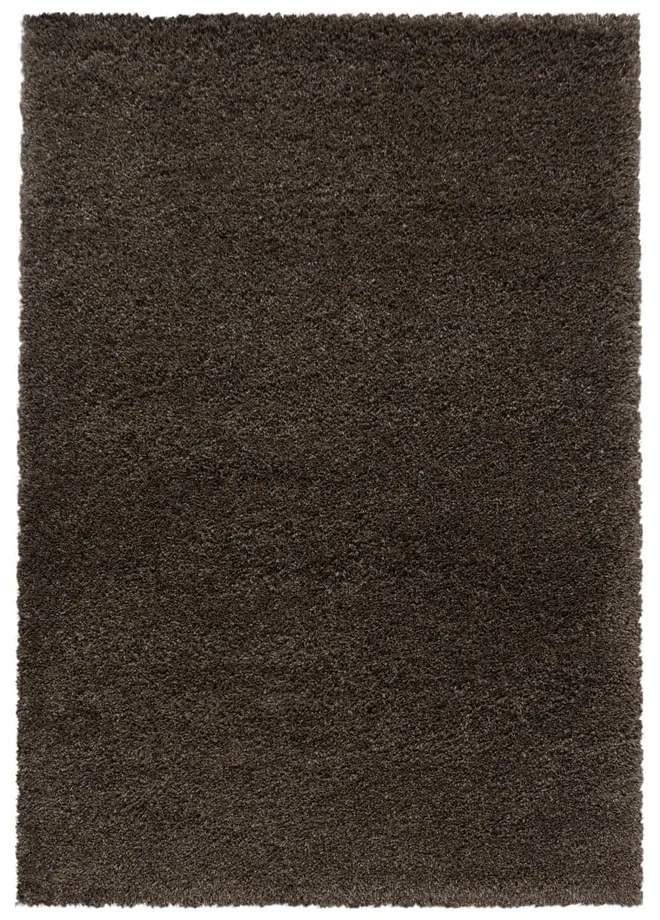 Ciemnobrązowy dywan 120x170 cm Fluffy – Ayyildiz Carpets