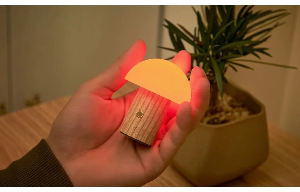 Lampa stołowa LED ze ściemniaczem z litego drewna jesionowego (wysokość 7 cm) Alice – Gingko