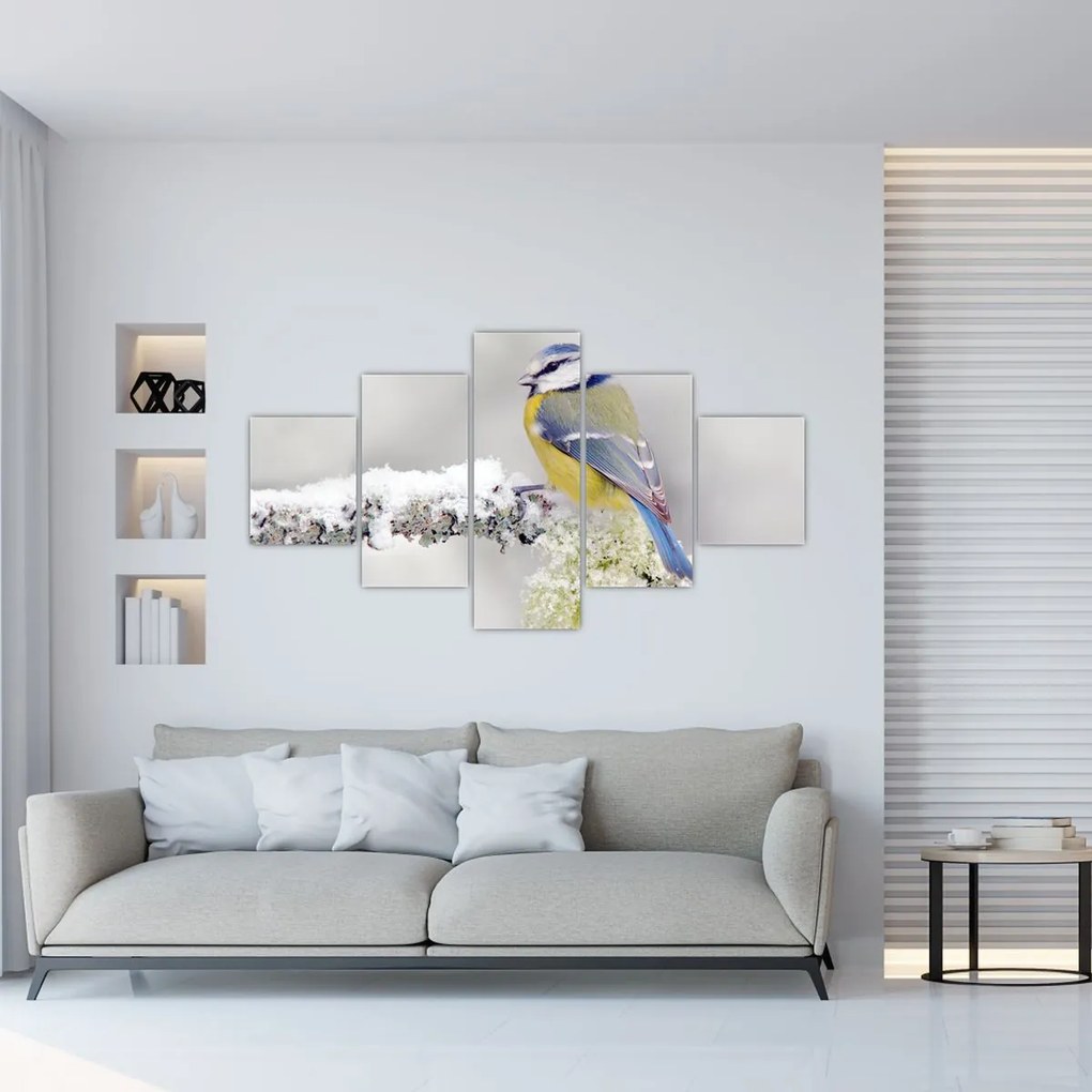 Obraz - Sikora modraszka w lesie (125x70 cm)
