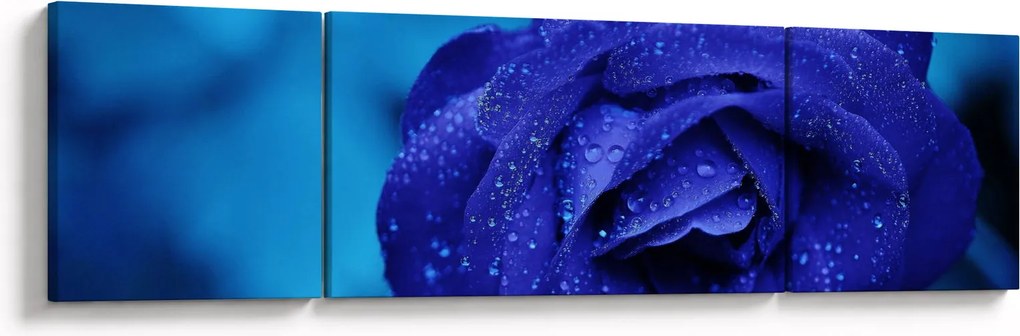 Obraz niebieskiej róży (170x50 cm)