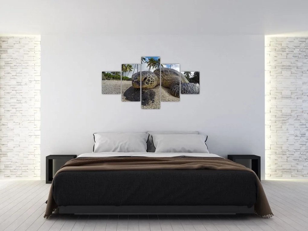 Obraz żółwia (125x70 cm)